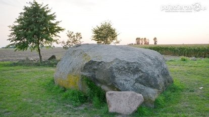 „Tarcza Olbrzyma” w Sokolnikach