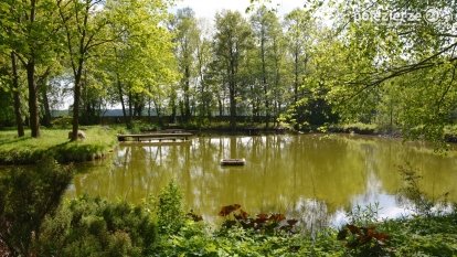 Park w Leśniewie – historia, magiczna przyroda, konie…