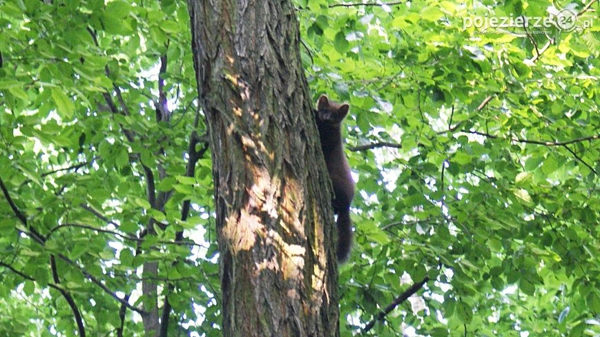 Promno – park krajobrazowy pełen sekretów