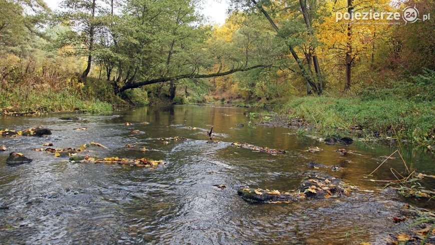 Wełna – dzika rzeka