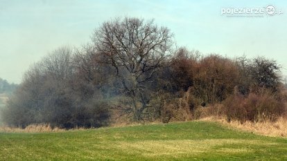 Zapomniane grodzisko w Łubowie