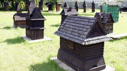 Małe, pożyteczne owady i ich muzeum