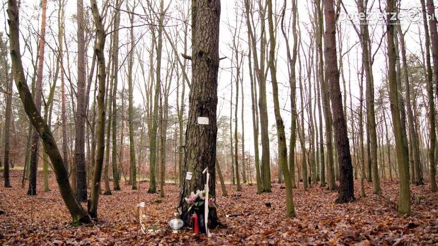 Po 42 latach odkryli prawdę o... śmierci