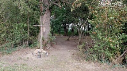 Zapomniana nekropolia w Grzybowie