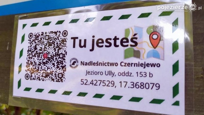 Wędrujesz po lasach czerniejewskich? Sprawdź gdzie jesteś