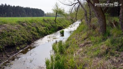 Sekrety Kanału Dębina...
