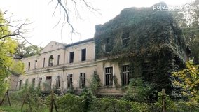 „Znikający” pałac w Nieszawie