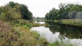 Ostrów Radzimski – osada, którą „wykończyła” epidemia cholery