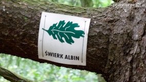 „Liść dębu”. Zapomniana ścieżka przyrodnicza