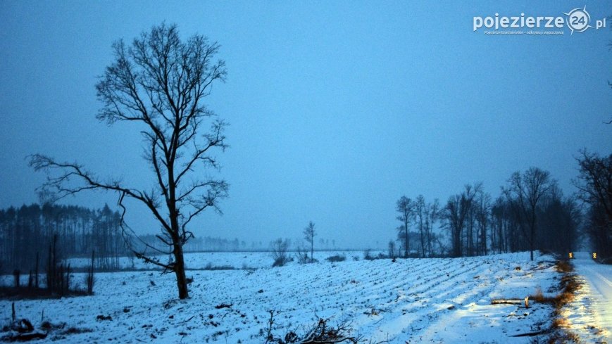 Pierwszy śnieg i wędrówka po nowaszyckim lesie