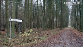 Niezwykły rezerwat w Puszczy Zielonka