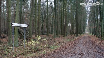 Niezwykły rezerwat w Puszczy Zielonka