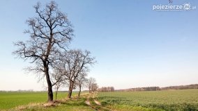 Tadeusz Wolański – mason, alchemik, ekscentryczny badacz starożytności...