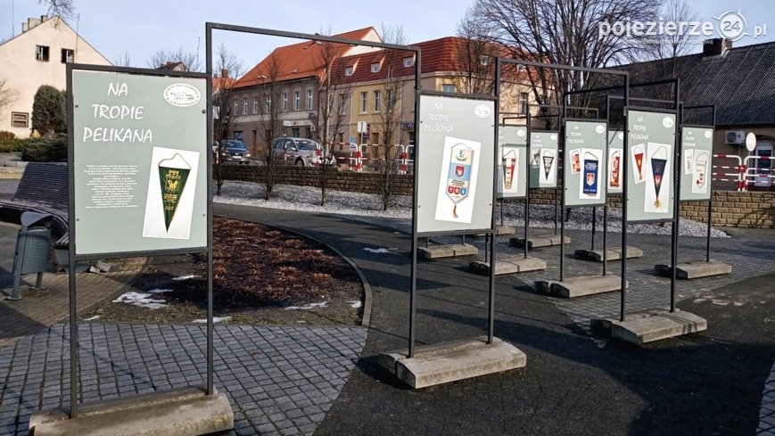 „Na tropie pelikana” – zapraszamy na szubiński rynek 