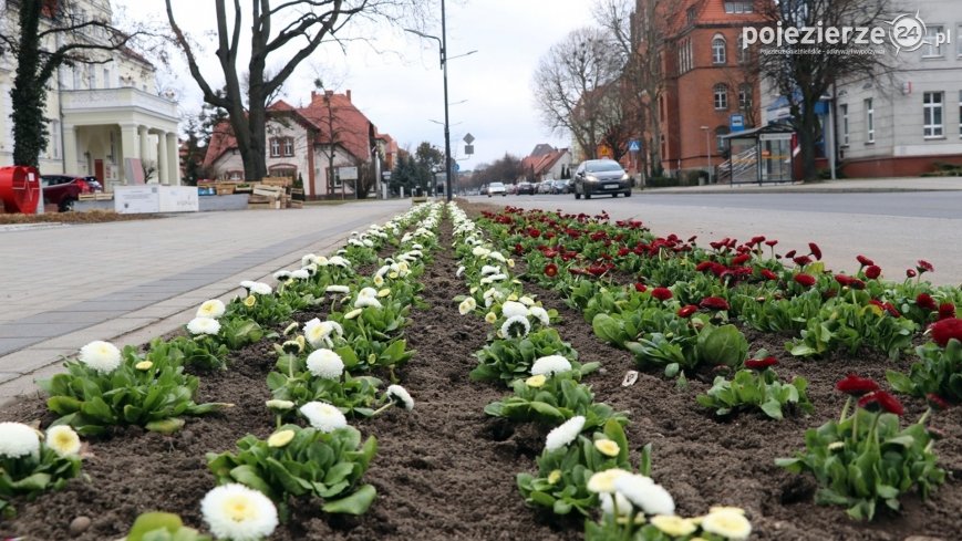 Kolorowo i wiosennie w Wągrowcu