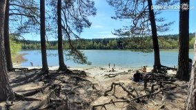 Jezioro Miejskie, ogromne sosny i… Floryda 