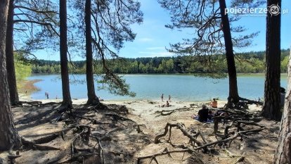 Jezioro Miejskie, ogromne sosny i… Floryda 