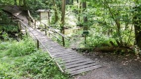 Zielona ścieżka, która da ukojenie!