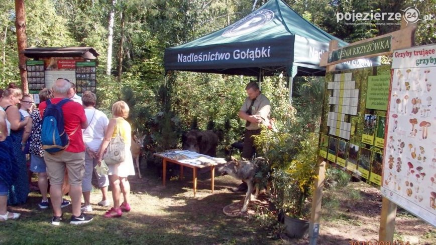 Nadleśnictwo Gołąbki zaprasza na zajęcia i spotkania z leśnikami