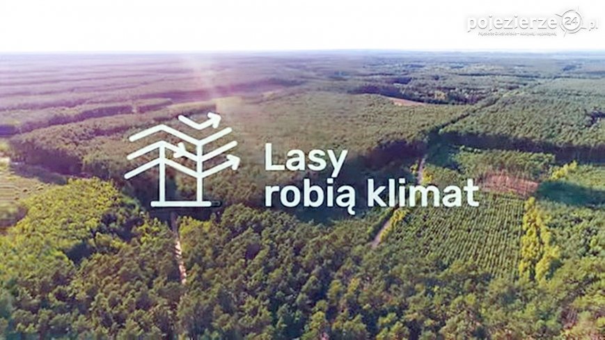 Krótka historia o… kąpielach leśnych