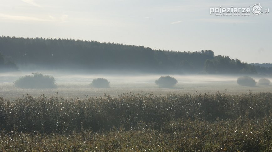 Różne barwy jesieni