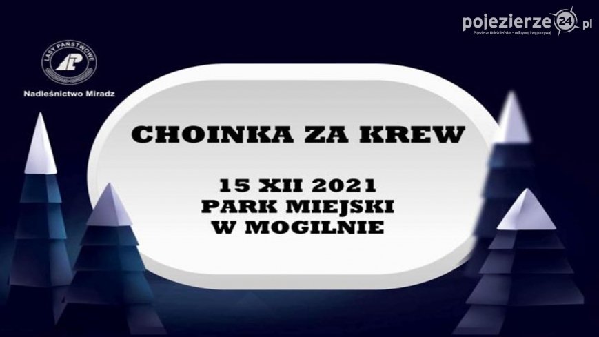 „Choinka za Krew”