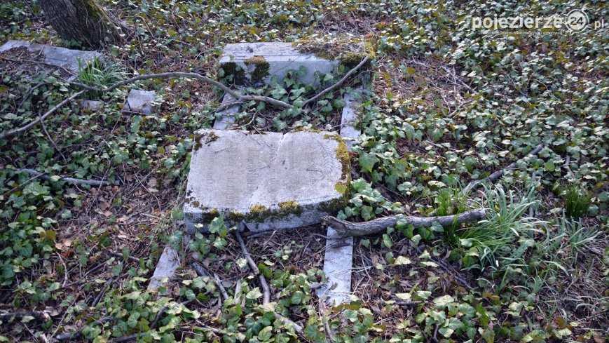 Zapomniana nekropolia niedaleko Karniszewa