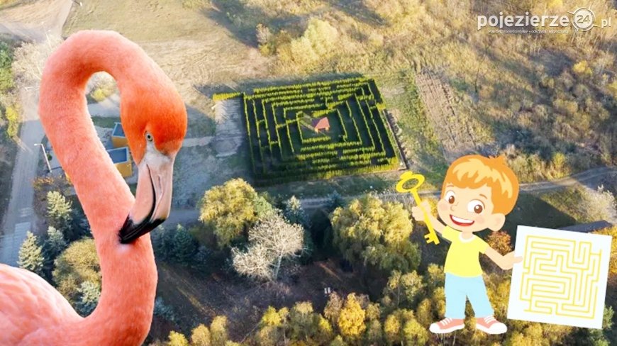 Niezwykła atrakacja! Zielony Labirynt czeka na turystów!