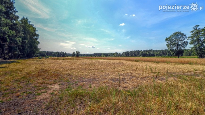 Powstanie nowy las w powiecie inowrocławskim