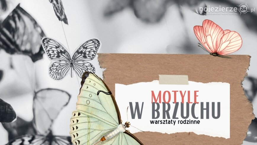 Kto i w kim się zakochał? Warsztaty „Motyle w brzuchu” już 19 marca w Starym Ratuszu!