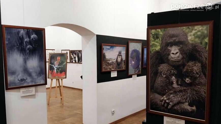 „Wildlife Photographer of the Year”. Muzealne safari w Inowrocławiu!