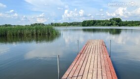 Jezioro Sadłogoskie to bogactwo fauny i flory