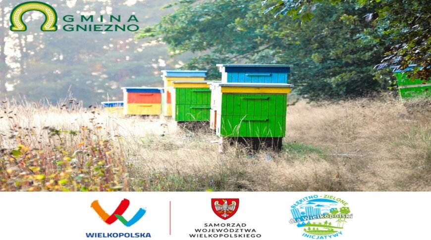 W Gminie Gniezno powstanie pasieka gminna