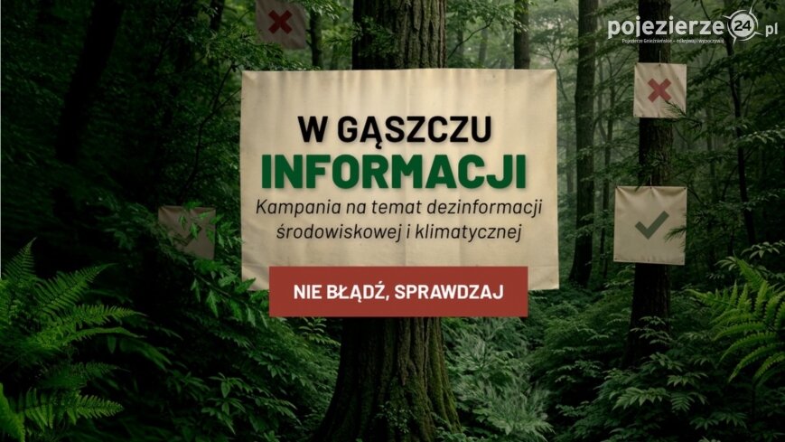 PBS dla Lasów Państwowych: 21% Polaków sądzi, że drewno można pozyskać nie wycinając drzew