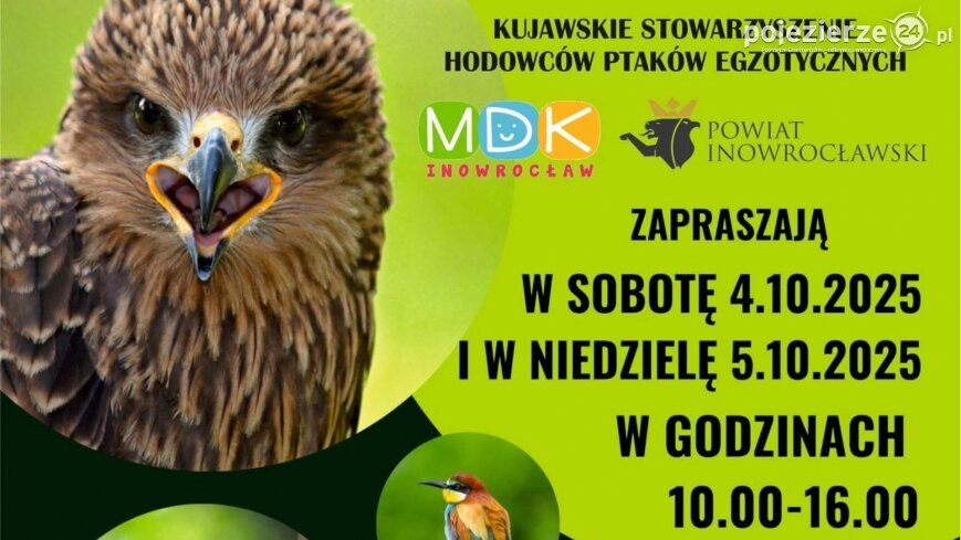 Wystawa ptaków egzotycznych w Inowrocławiu