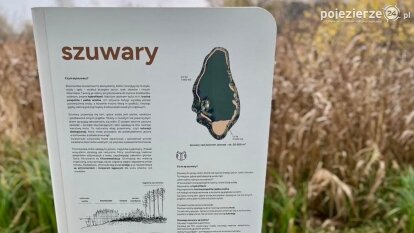 Nowy eko-szlak w Gnieźnie