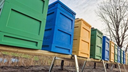 Pasieka w Mnichowie już gotowa!