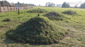 „Sekrety kurhanów z Grzybowa. Na tropie eksperymentu archeologicznego”