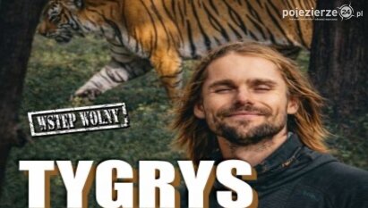 Tygrys – spotkanie z największym kotem świata