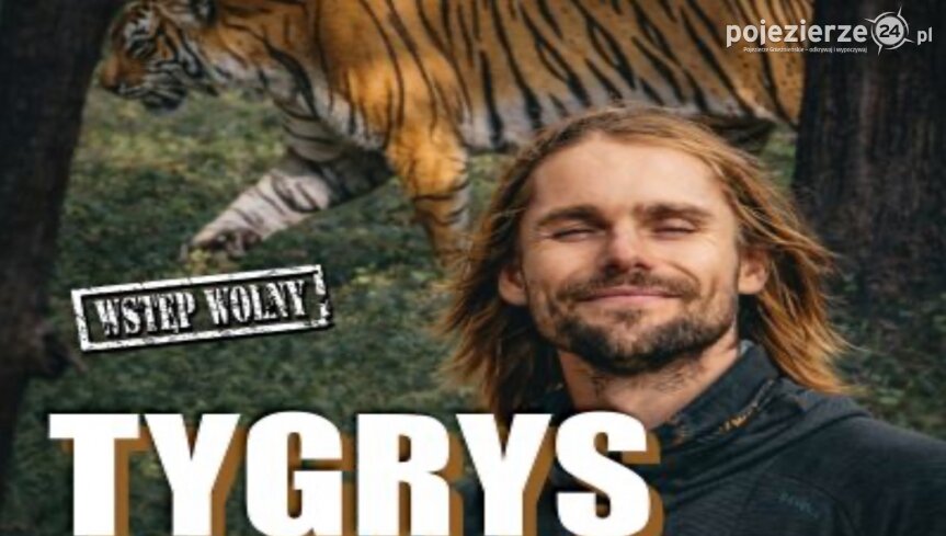 Tygrys – spotkanie z największym kotem świata