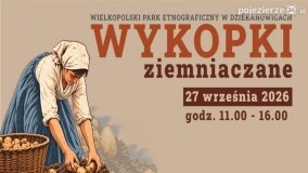 Jak dawniej wyglądały wykopki? Praca ludzi i koni w Wielkopolskim Parku Etnograficznym