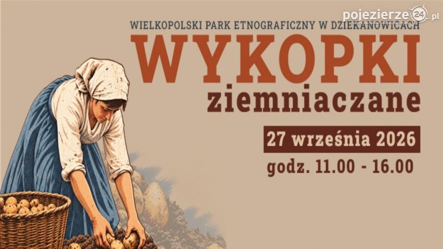 Jak dawniej wyglądały wykopki? Praca ludzi i koni w Wielkopolskim Parku Etnograficznym