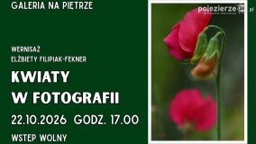 „Kwiaty w fotografii” w Galerii Na Piętrze