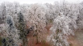 Pałac w Krześlicach – szukamy fotografii, dokumentów i wspomnień - zdjęcie 9