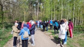 Grzeczna i Piękna Panna z pałuckiej legendy - zdjęcie 4