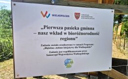  - zdjęcie 3