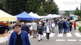 Rzesze wiernych na odpuście w Sanktuarium Maryjnym w Dąbrówce Kościelnej - zdjęcie 36