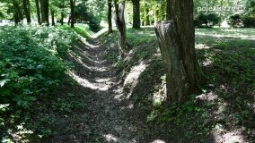  - zdjęcie 12
