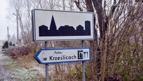  - zdjęcie 1