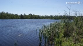 Bagno Chlebowo – romantyczne torfianki - zdjęcie 48